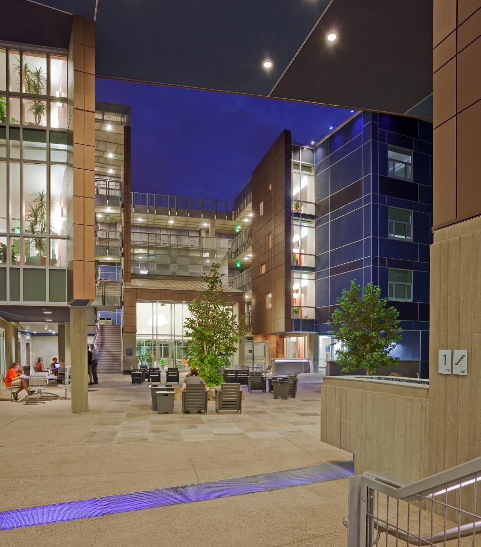 Arbol de la Vida, 2011