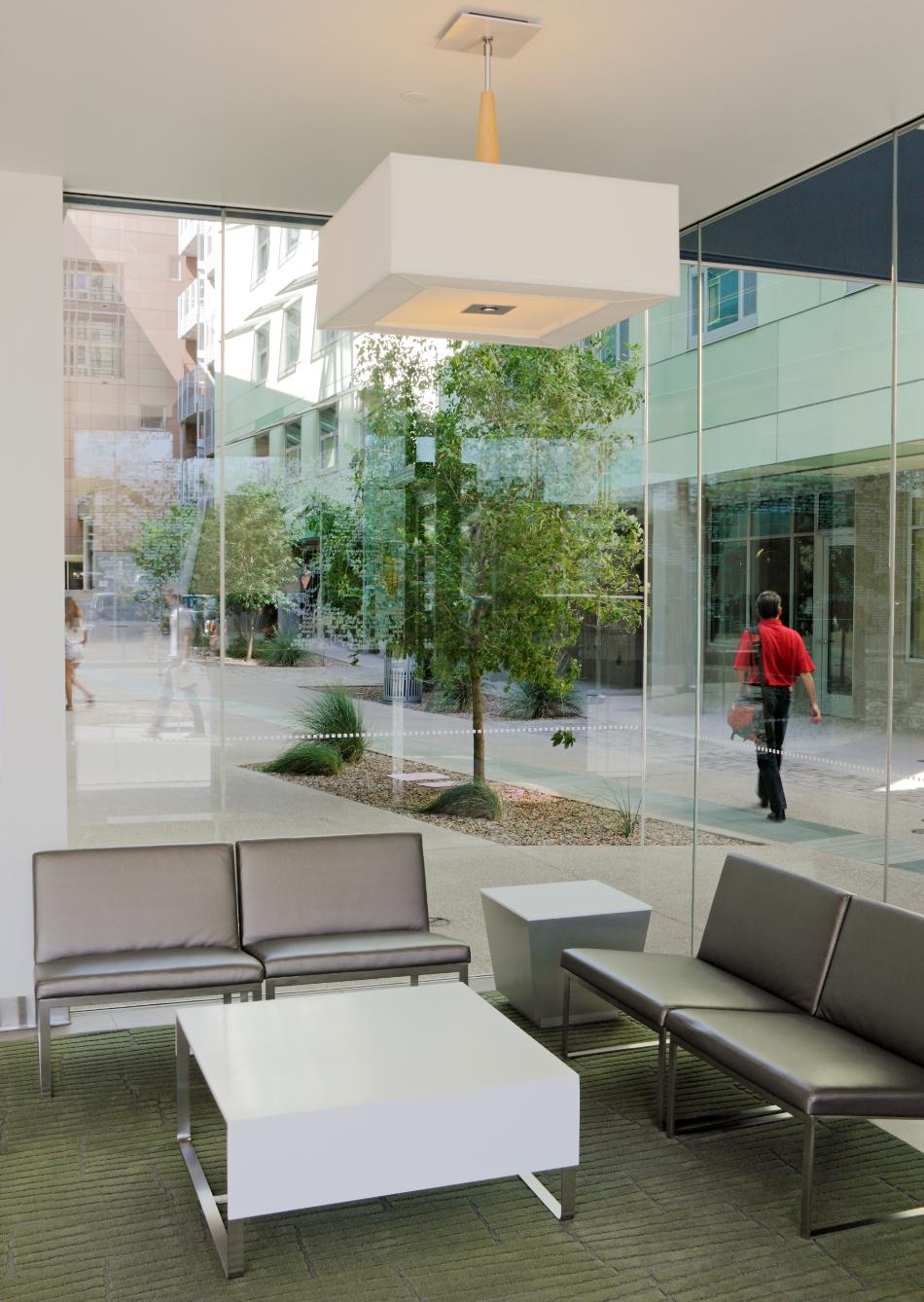 Arbol de la Vida, 2011