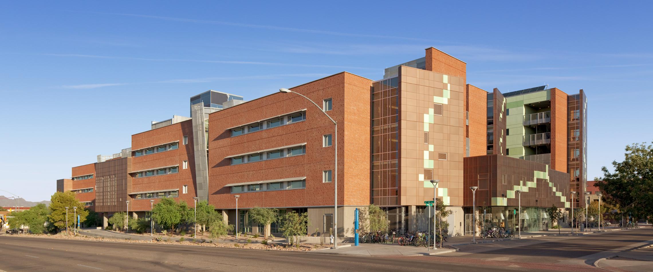 Arbol de la Vida, 2011