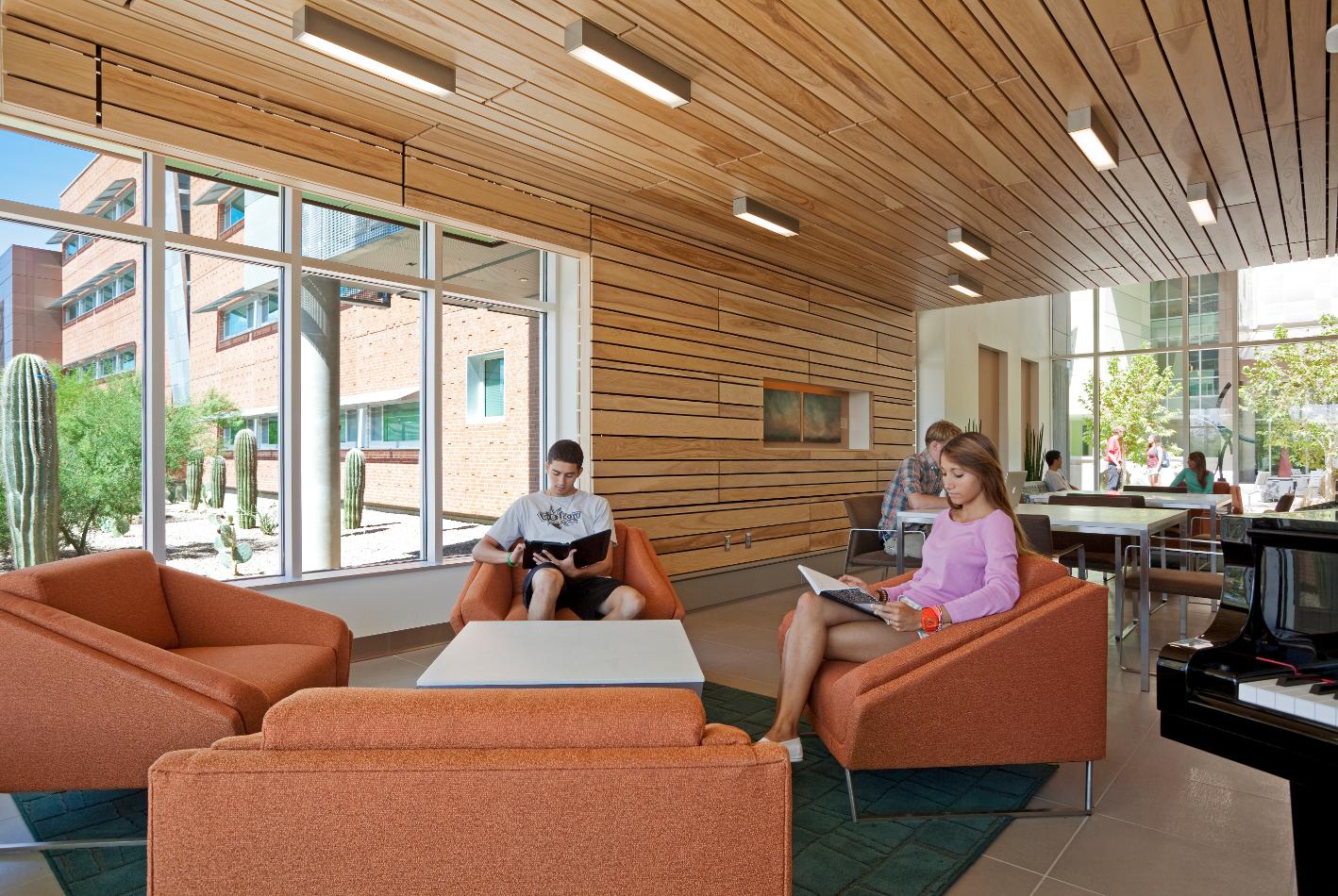 Arbol de la Vida, 2011