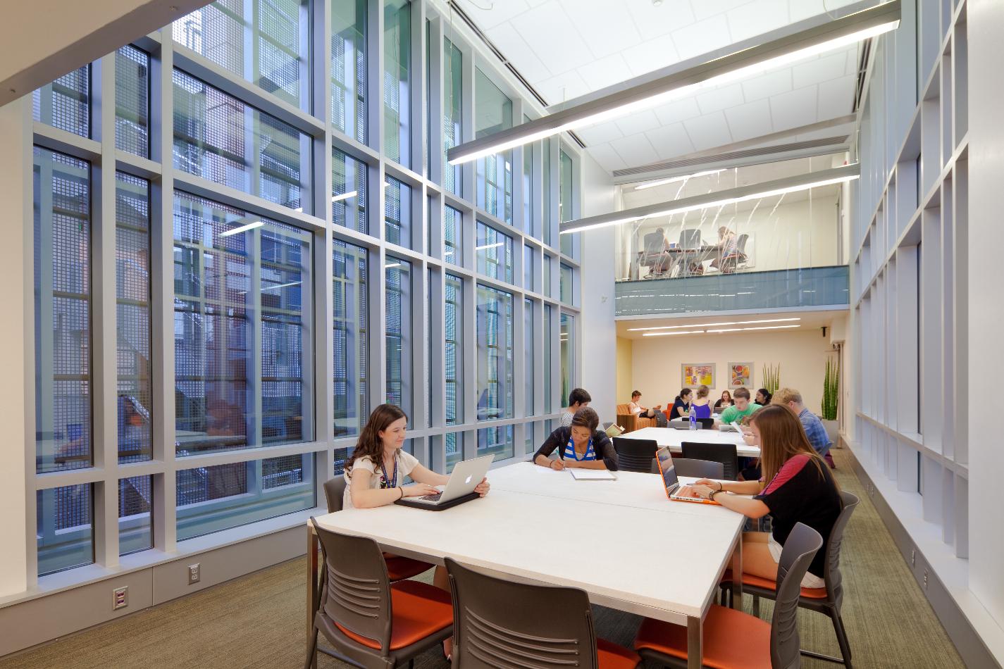 Arbol de la Vida, 2011