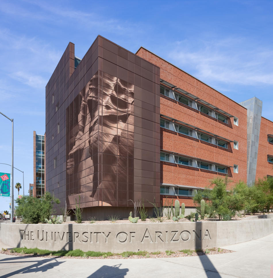 Arbol de la Vida, 2011