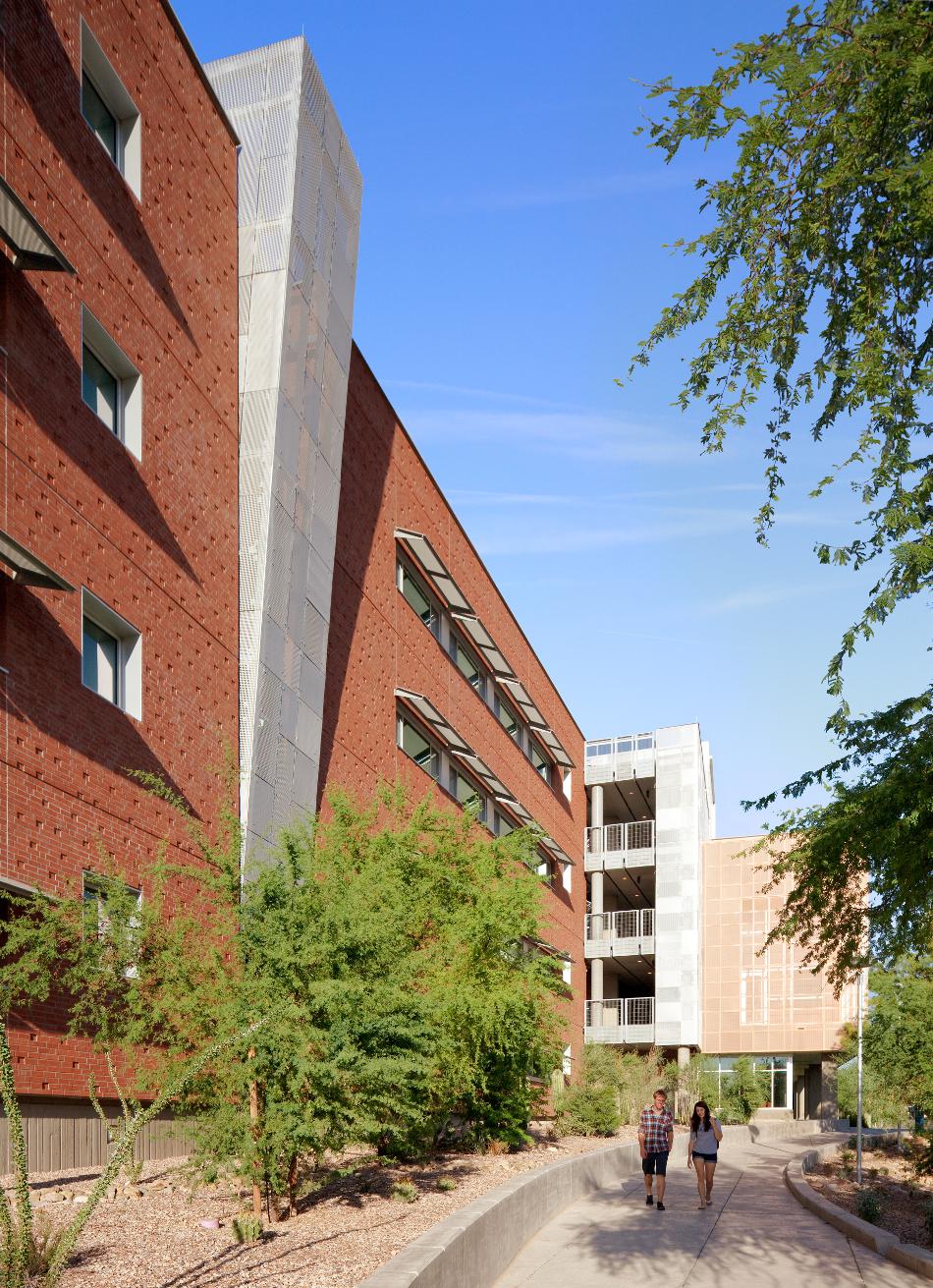 Arbol de la Vida, 2011