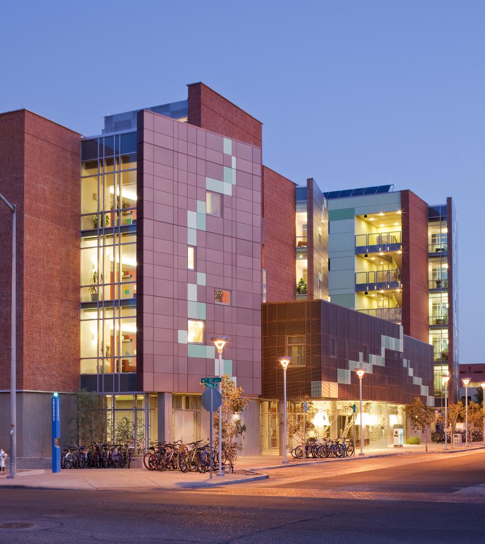 Arbol de la Vida, 2011