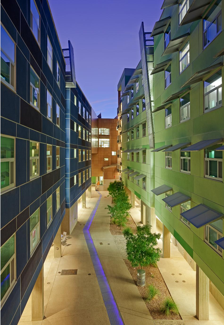 Arbol de la Vida, 2011