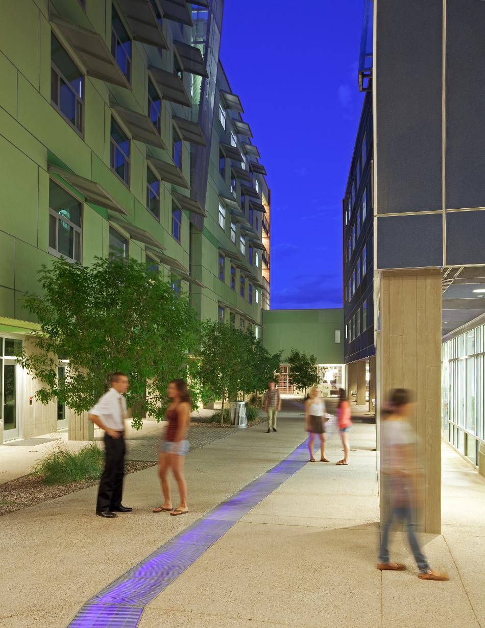 Arbol de la Vida, 2011